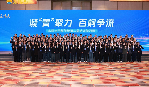 凝“青”聚力，百舸争流 | 新爱体育干部学校2024年第二届培训学习班圆满结束
